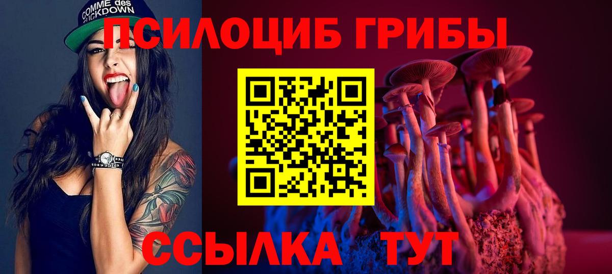 Галлюциногенные грибы Psilocybine cubensis Добрянка